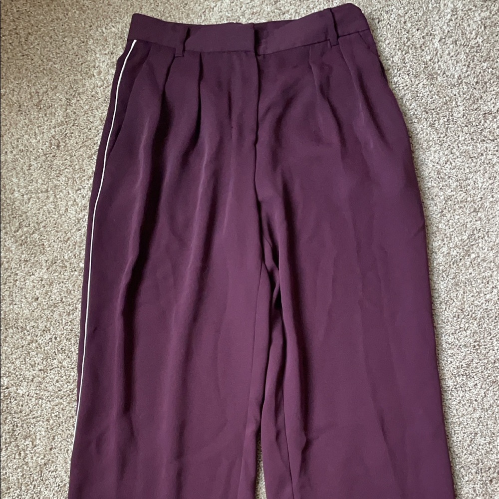 Aritzia Babaton Slacks